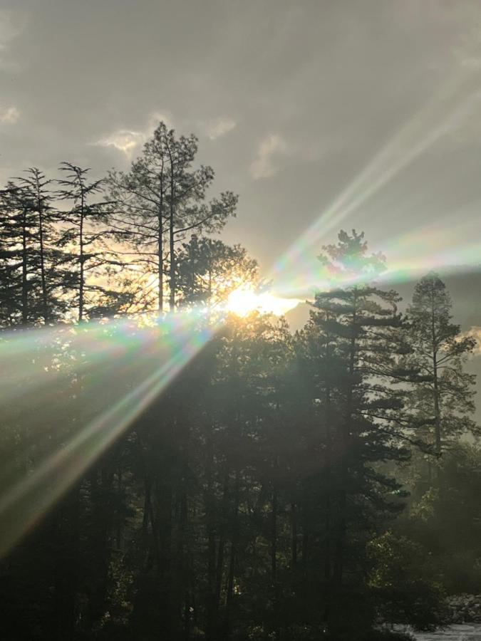 Shanti Cafe & Hostels Kasol Kültér fotó